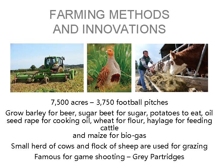 FARMING METHODS AND INNOVATIONS 7, 500 acres – 3, 750 football pitches Grow barley