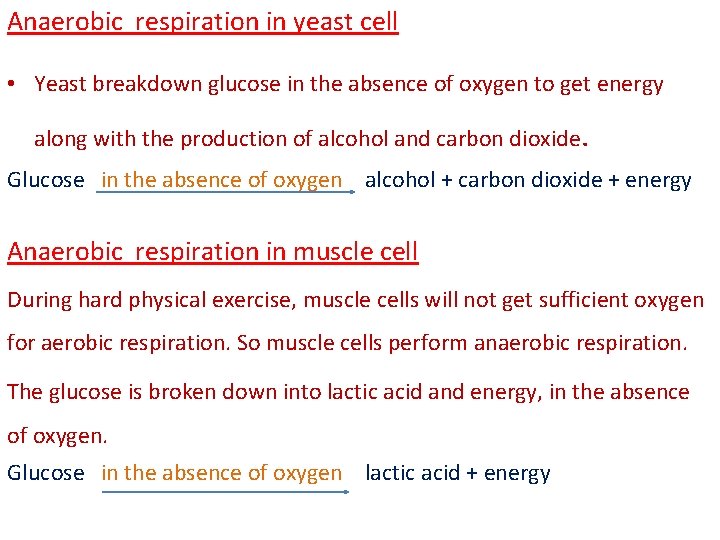 Anaerobic respiration in yeast cell • Yeast breakdown glucose in the absence of oxygen