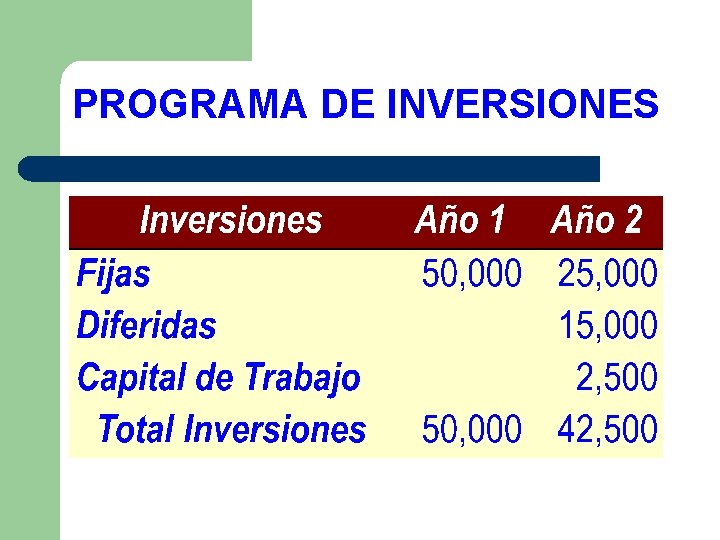 PROGRAMA DE INVERSIONES 