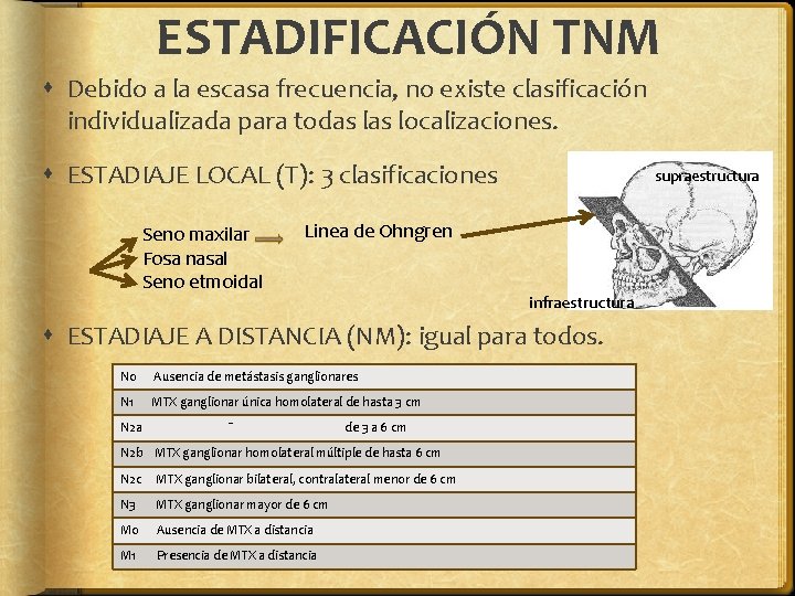 ESTADIFICACIÓN TNM Debido a la escasa frecuencia, no existe clasificación individualizada para todas localizaciones.