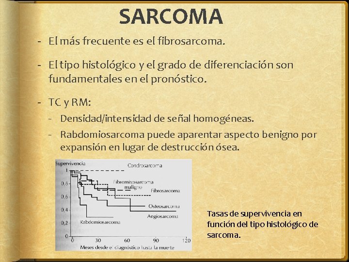 SARCOMA - El más frecuente es el fibrosarcoma. - El tipo histológico y el