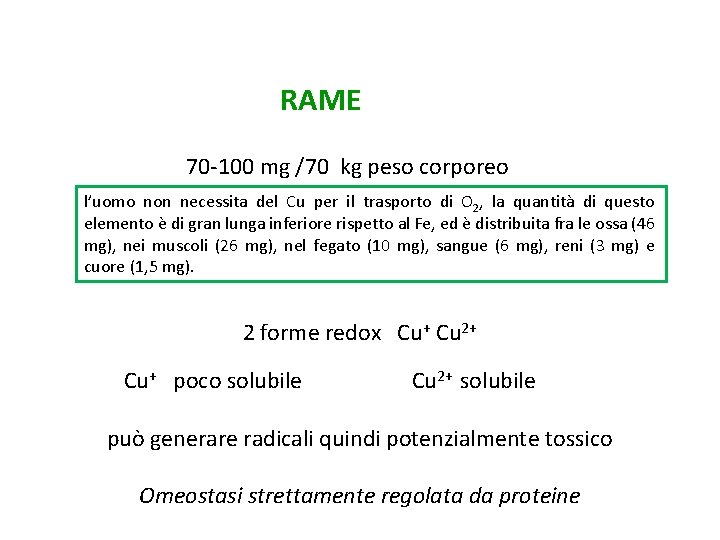 RAME 70 -100 mg /70 kg peso corporeo l’uomo non necessita del Cu per