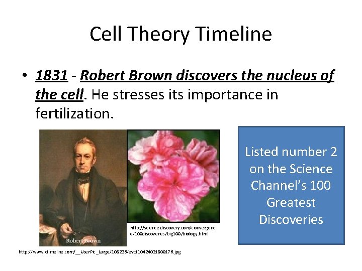 Cell Theory Timeline • 1831 - Robert Brown discovers the nucleus of the cell.