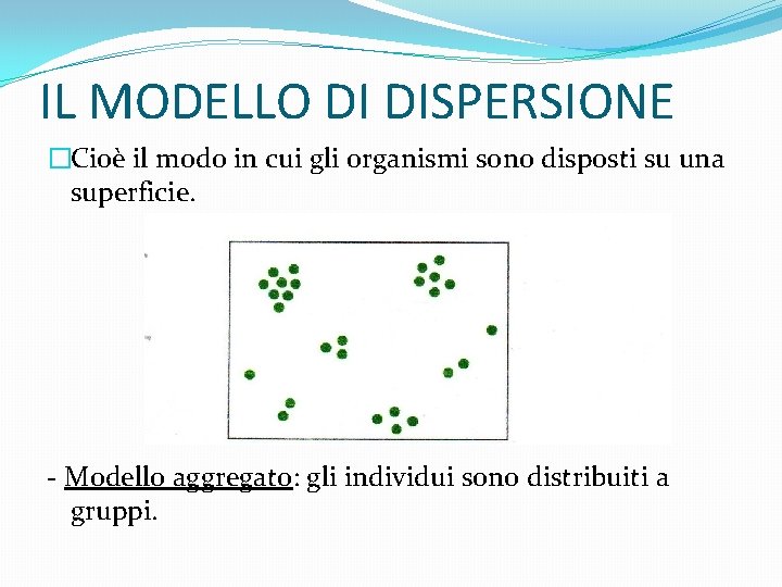 IL MODELLO DI DISPERSIONE �Cioè il modo in cui gli organismi sono disposti su