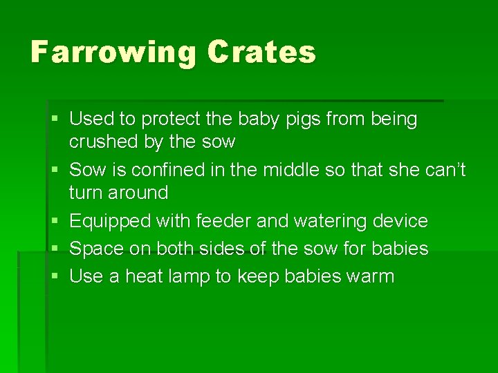 Farrowing Crates § Used to protect the baby pigs from being crushed by the Farrowing Crates § Used to protect the baby pigs from being crushed by the