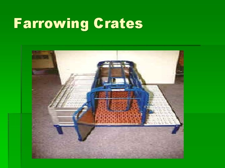 Farrowing Crates Farrowing Crates