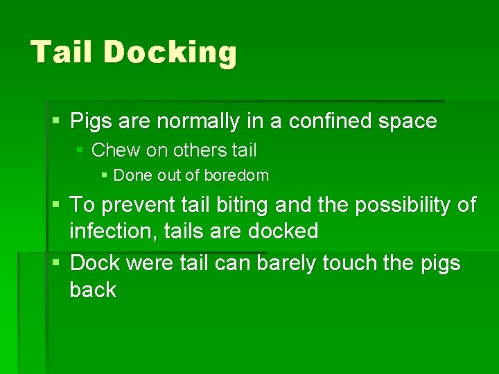 Tail Docking § Pigs are normally in a confined space § Chew on others