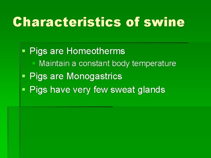 Characteristics of swine § Pigs are Homeotherms § Maintain a constant body temperature §