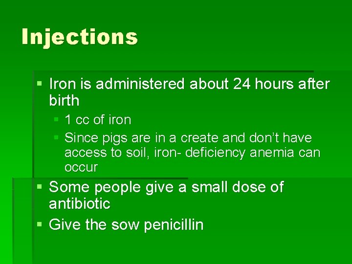 Injections § Iron is administered about 24 hours after birth § 1 cc of