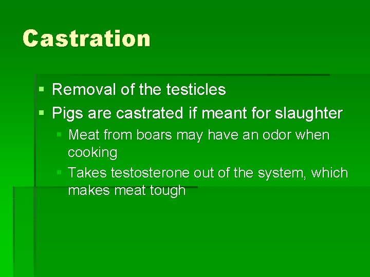 Castration § Removal of the testicles § Pigs are castrated if meant for slaughter