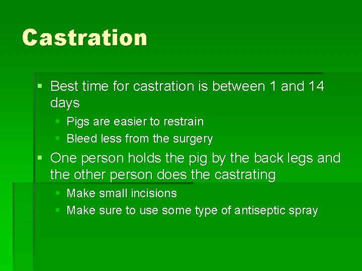 Castration § Best time for castration is between 1 and 14 days § Pigs Castration § Best time for castration is between 1 and 14 days § Pigs
