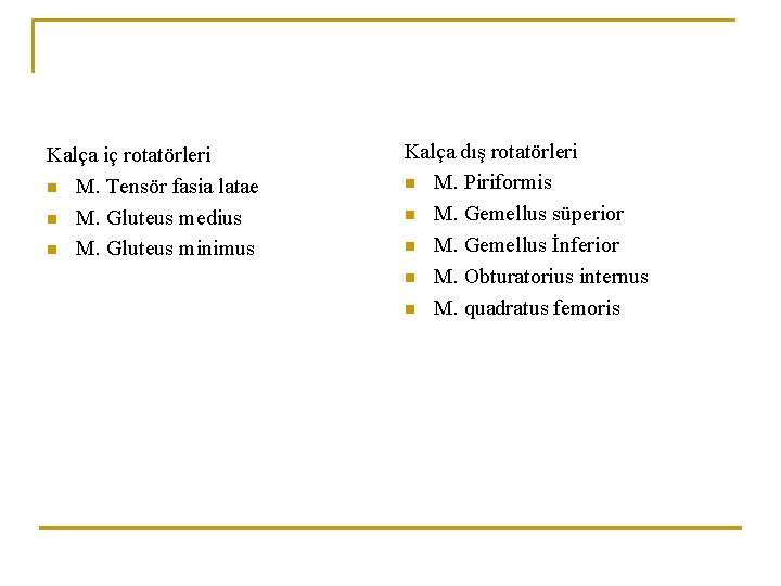 Kalça iç rotatörleri n M. Tensör fasia latae n M. Gluteus medius n M. Kalça iç rotatörleri n M. Tensör fasia latae n M. Gluteus medius n M.