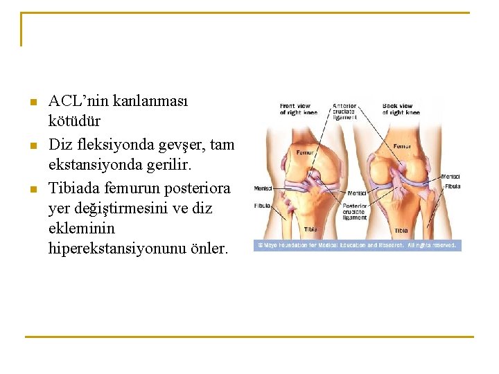 n n n ACL’nin kanlanması kötüdür Diz fleksiyonda gevşer, tam ekstansiyonda gerilir. Tibiada femurun n n n ACL’nin kanlanması kötüdür Diz fleksiyonda gevşer, tam ekstansiyonda gerilir. Tibiada femurun