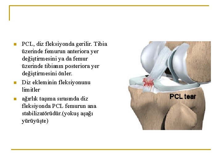 n n n PCL, diz fleksiyonda gerilir. Tibia üzerinde femurun anteriora yer değiştirmesini ya n n n PCL, diz fleksiyonda gerilir. Tibia üzerinde femurun anteriora yer değiştirmesini ya