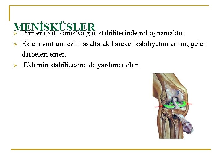 MENİSKÜSLER Ø Primer rolü varus/valgus stabilitesinde rol oynamaktır. Ø Ø Eklem sürtünmesini azaltarak hareket MENİSKÜSLER Ø Primer rolü varus/valgus stabilitesinde rol oynamaktır. Ø Ø Eklem sürtünmesini azaltarak hareket