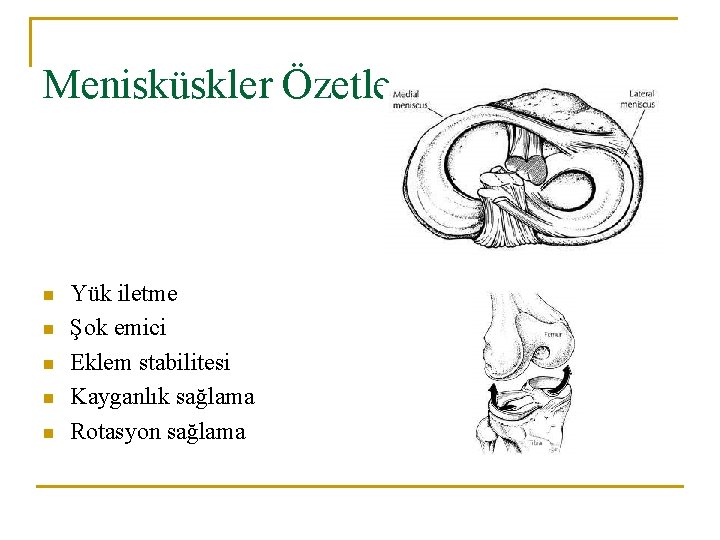 Menisküskler Özetle n n n Yük iletme Şok emici Eklem stabilitesi Kayganlık sağlama Rotasyon Menisküskler Özetle n n n Yük iletme Şok emici Eklem stabilitesi Kayganlık sağlama Rotasyon