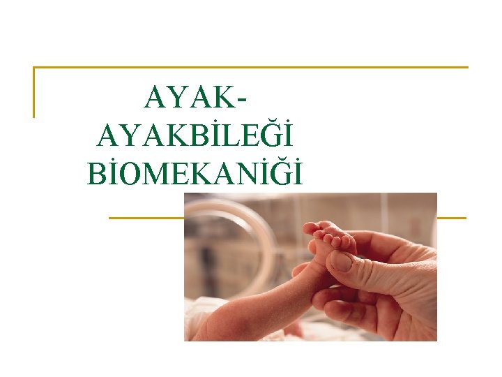 AYAKBİLEĞİ BİOMEKANİĞİ AYAKBİLEĞİ BİOMEKANİĞİ