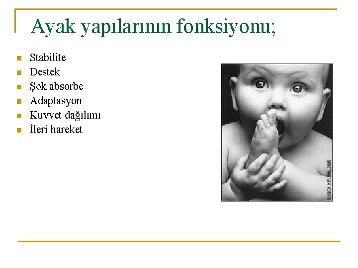 Ayak yapılarının fonksiyonu; n n n Stabilite Destek Şok absorbe Adaptasyon Kuvvet dağılımı İleri Ayak yapılarının fonksiyonu; n n n Stabilite Destek Şok absorbe Adaptasyon Kuvvet dağılımı İleri