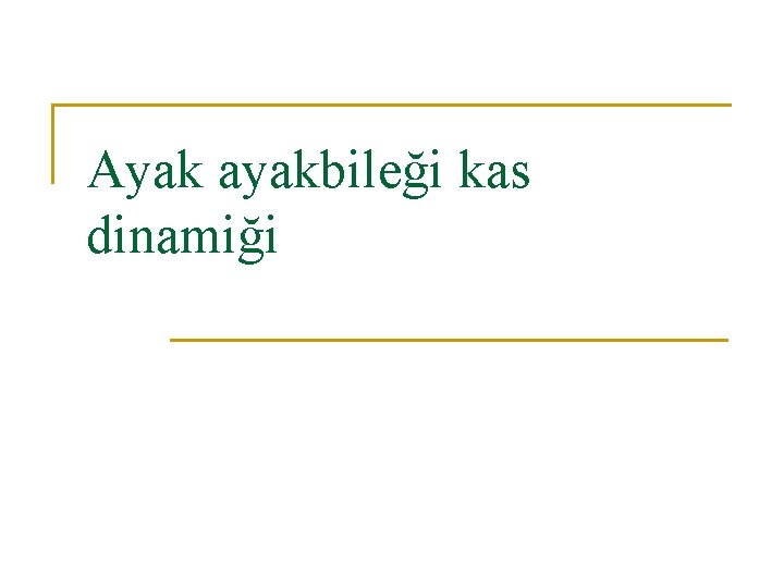 Ayak ayakbileği kas dinamiği Ayak ayakbileği kas dinamiği