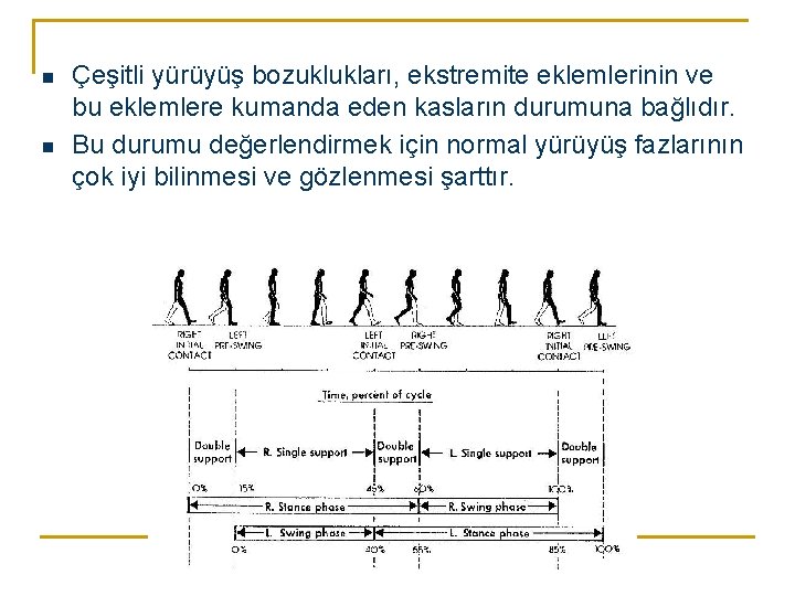 n n Çeşitli yürüyüş bozuklukları, ekstremite eklemlerinin ve bu eklemlere kumanda eden kasların durumuna n n Çeşitli yürüyüş bozuklukları, ekstremite eklemlerinin ve bu eklemlere kumanda eden kasların durumuna