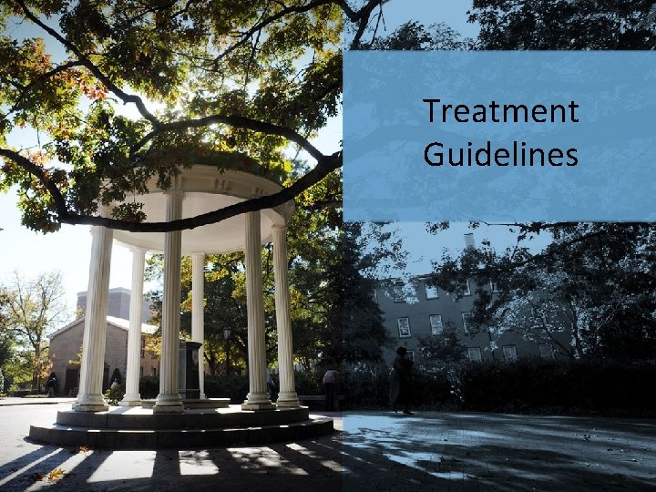 Treatment Guidelines 