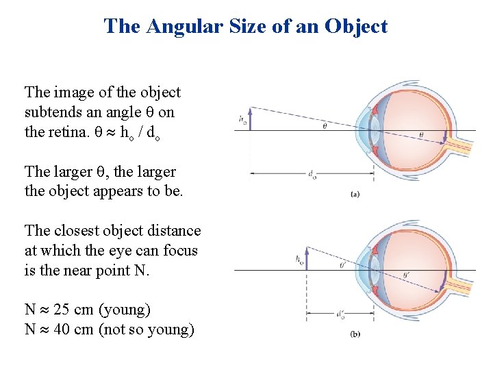 The Angular Size of an Object The image of the object subtends an angle