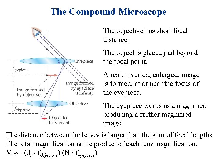 The Compound Microscope The objective has short focal distance. The object is placed just