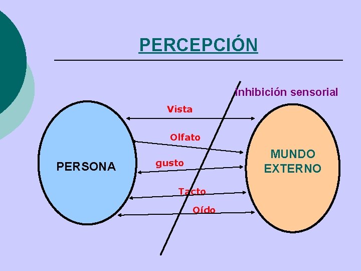 PERCEPCIÓN Inhibición sensorial Vista Olfato PERSONA MUNDO EXTERNO gusto Tacto Oído PERCEPCIÓN Inhibición sensorial Vista Olfato PERSONA MUNDO EXTERNO gusto Tacto Oído