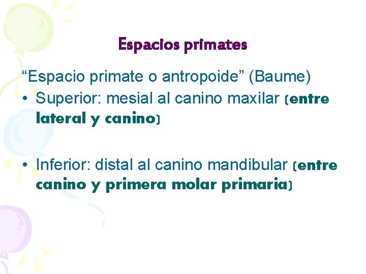 Espacios primates “Espacio primate o antropoide” (Baume) • Superior: mesial al canino maxilar (entre