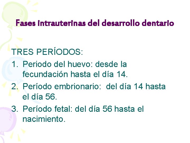 Fases intrauterinas del desarrollo dentario TRES PERÍODOS: 1. Periodo del huevo: desde la fecundación