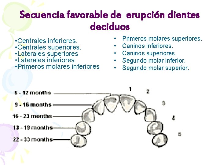 Secuencia favorable de erupción dientes deciduos • Centrales inferiores. • Centrales superiores. • Laterales