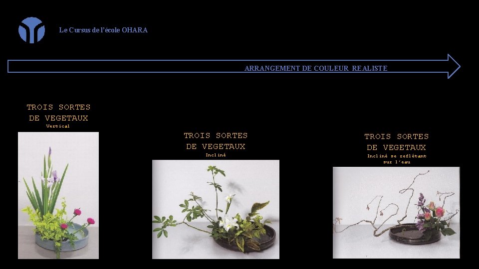 Le Cursus de l’école OHARA ARRANGEMENT DE COULEUR REALISTE TROIS SORTES DE VEGETAUX Vertical