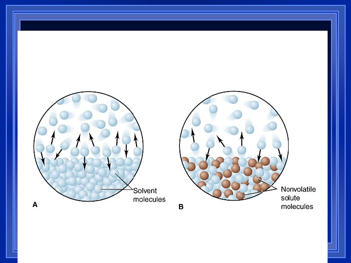 Vapor Pressure is LOWERED 1) 2) l l Surface area is reduced, thus less