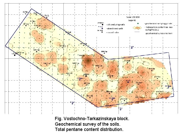 Fig. Vostochno-Tarkazinskaya block. Geochemical survey of the soils. Total pentane content distribution. 
