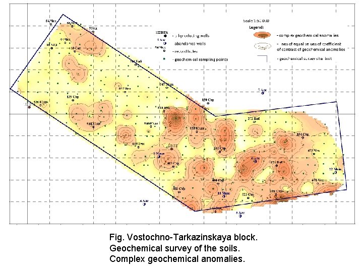 Fig. Vostochno-Tarkazinskaya block. Geochemical survey of the soils. Complex geochemical anomalies. 