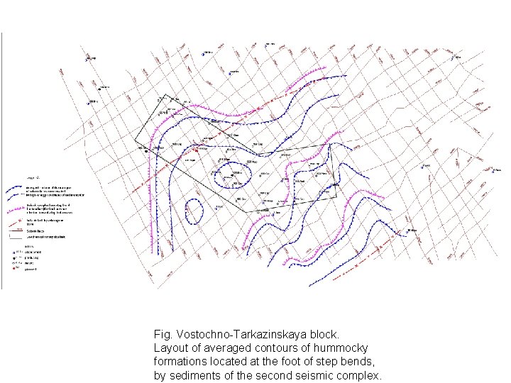 Fig. Vostochno-Tarkazinskaya block. Layout of averaged contours of hummocky formations located at the foot