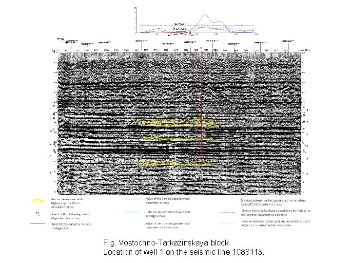 Fig. Vostochno-Tarkazinskaya block. Location of well 1 on the seismic line 1088113. 