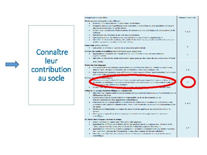 Connaître leur contribution au socle 
