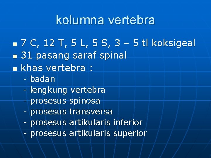 kolumna vertebra n n n 7 C, 12 T, 5 L, 5 S, 3
