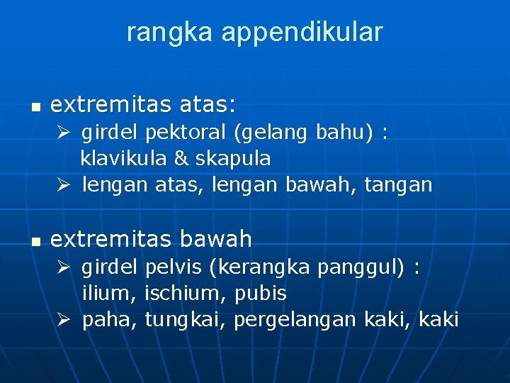 rangka appendikular n extremitas atas: Ø girdel pektoral (gelang bahu) : klavikula & skapula