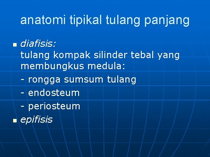 anatomi tipikal tulang panjang n n diafisis: tulang kompak silinder tebal yang membungkus medula: