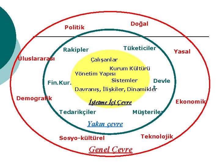 Doğal Politik Tüketiciler Rakipler Uluslararası Yasal Çalışanlar Kurum Kültürü Yönetim Yapısı Sistemler Devle Fin.