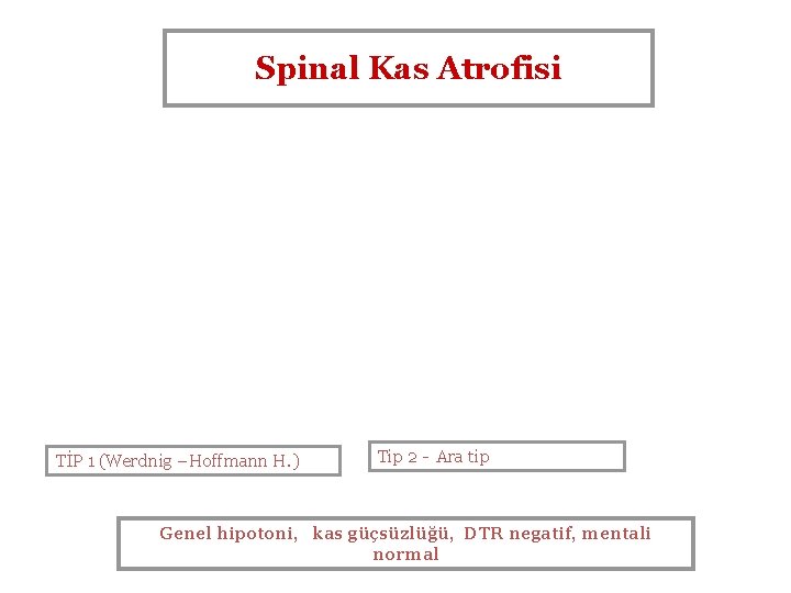 Spinal Kas Atrofisi TİP 1 (Werdnig –Hoffmann H. ) Tip 2 - Ara tip