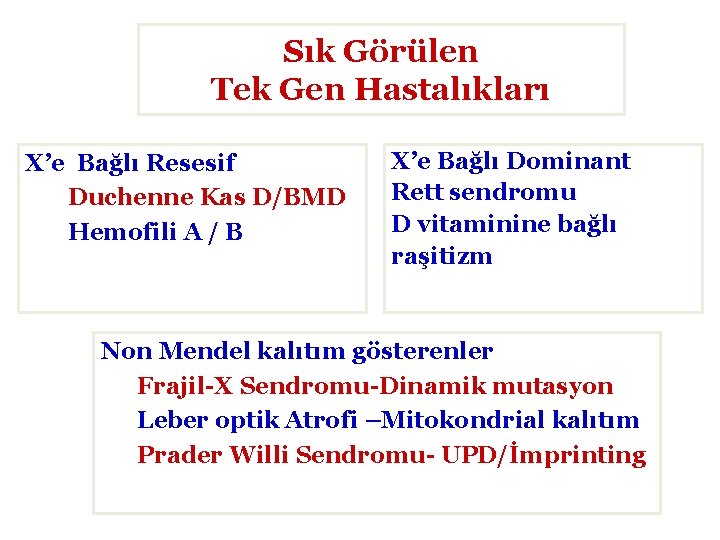 Sık Görülen Tek Gen Hastalıkları X’e Bağlı Resesif Duchenne Kas D/BMD Hemofili A /