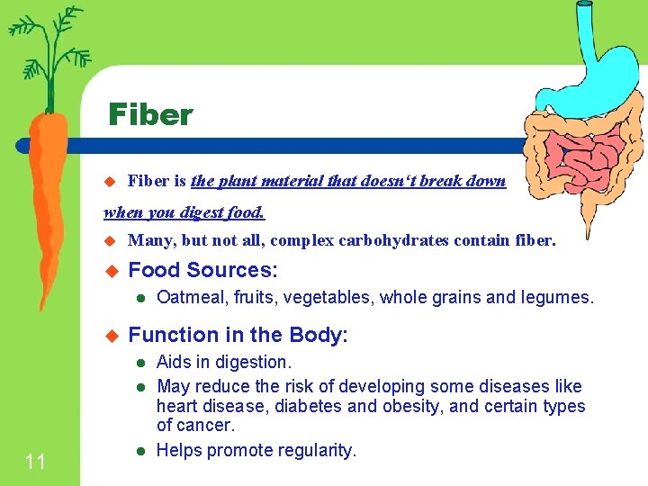 Fiber u Fiber is the plant material that doesn‘t break down when you digest