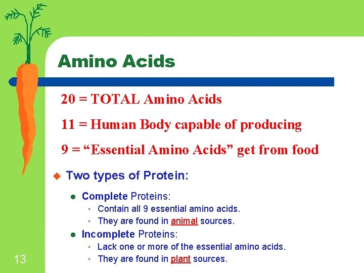 Amino Acids 20 = TOTAL Amino Acids 11 = Human Body capable of producing