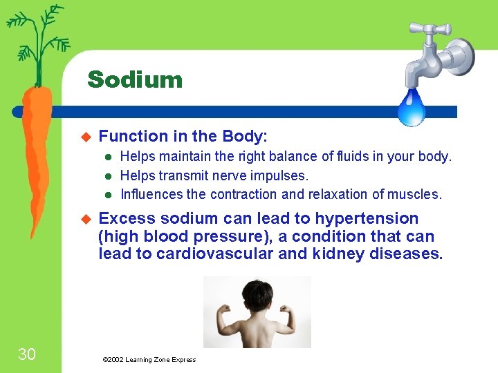 Sodium u Function in the Body: l l l u 30 Helps maintain the