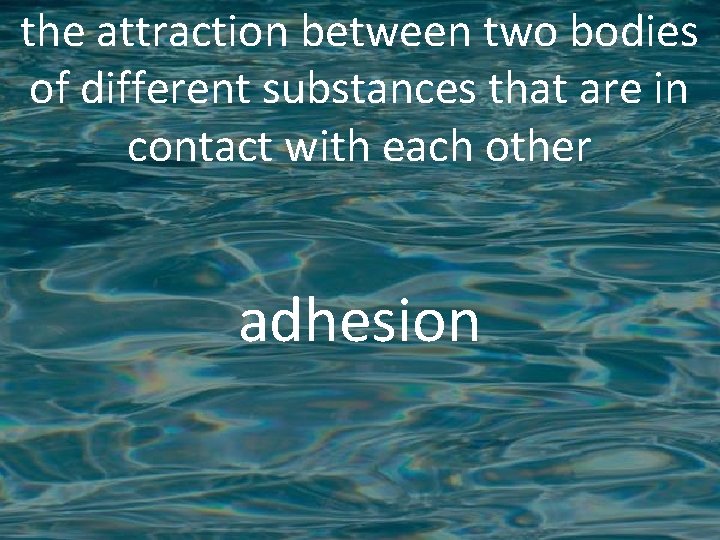 the attraction between two bodies of different substances that are in contact with each