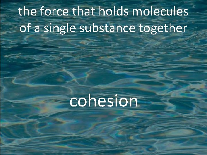 the force that holds molecules of a single substance together cohesion 