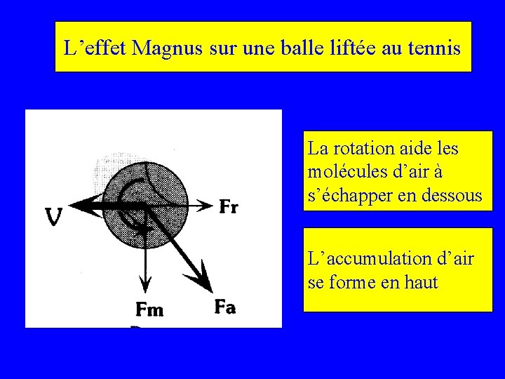 L’effet Magnus sur une balle liftée au tennis La rotation aide les molécules d’air